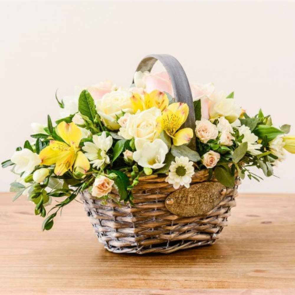 Sofia Product Image